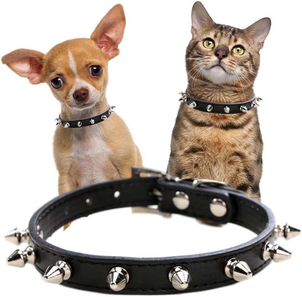Koiranpannat pienille koirille, niiteillä koristeltu piikkikissanpanta PU-keinonahkainen nastapentupanta XS-rotuisille lemmikkikoirille, uros-chihuahua